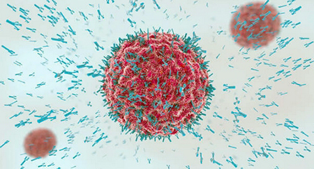 allergy explained