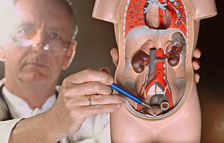 urinary tract infections causes