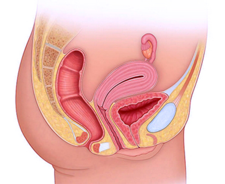 Why women have urinary tract infections more frequently than men?
