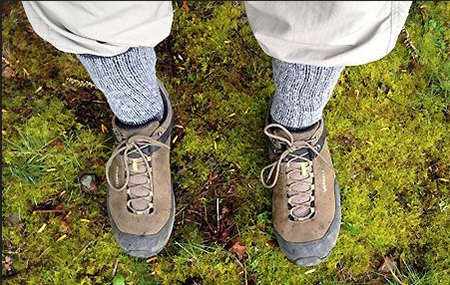 Lyme disease prevention