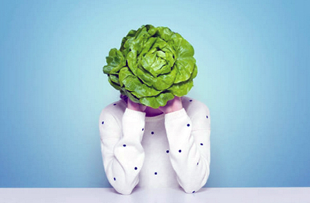 easy to follow diet tips for weight loss