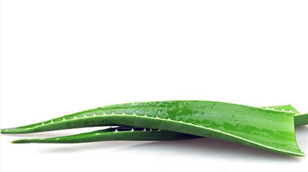 natural remedies for nonallergic rhinitis