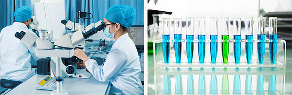 Wockhardt Pharmaceuticals medications you can purchase at Rxshopmd.com