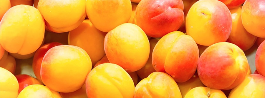 Apricots