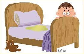 Understanding Night Enuresis in Children Understanding Night Enuresis in Children