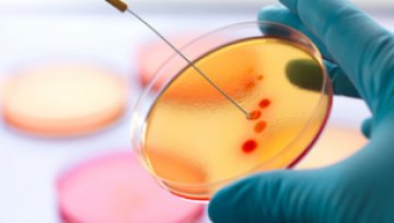 Cipro Online to Save on the Treatment Wisely