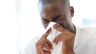 Order Generic Allegra if you suffer from allergy Order Generic Allegra if you suffer from allergy