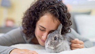 What are Antidepressants? What are Antidepressants?