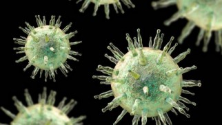 What is herpes and how is it treated? What is herpes and how is it treated?