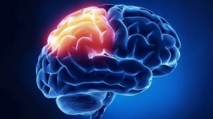 Increase your brain capacity with Generic Modalert 200 mg Increase your brain capacity with Generic Modalert 200 mg