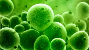 Buy Zithromax to cure almost any infection fast Buy Zithromax to cure almost any infection fast