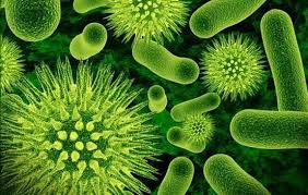 Effective treatment at low price Generic Vantin Effective treatment at low price Generic Vantin
