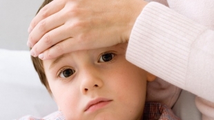 Buy Vantin to solve any infection-related problem Buy Vantin to solve any infection-related problem