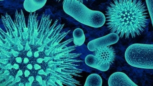 Buy Vantin to solve any infection-related problem Buy Vantin to solve any infection-related problem