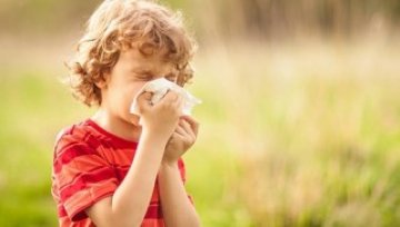 What is allergic rhinitis and other types of allergy and how are they treated?