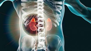 What is pyelonephritis and how is it treated? What is pyelonephritis and how is it treated?
