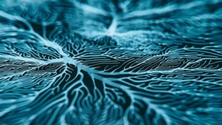 Causes, symptoms and diagnosis of multiple sclerosis Causes, symptoms and diagnosis of multiple sclerosis