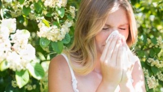 What is pollinosis (hay fever) and how can it be treated?