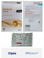 Order Generic Budesal Respules (Budesonide and Levosalbutamol) 1.25mg/0.5 mg Online