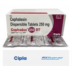 Cephadex DT (Cephalexin)